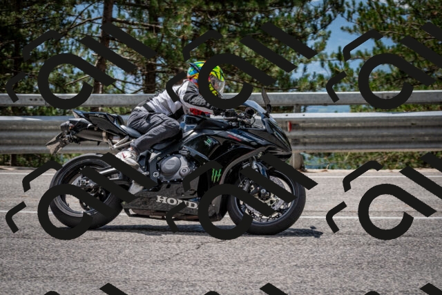 202508231236-DSC_6890_c2