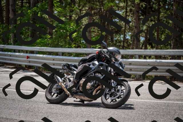 202508231237-DSC_6892_c2