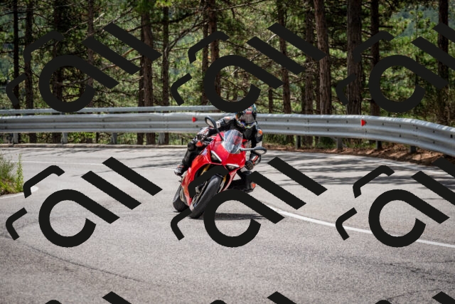 202508231240-DSC_6898_c2