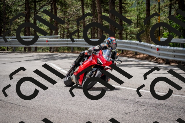 202508231240-DSC_6899_c2