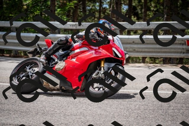 202508231240-DSC_6901_c2