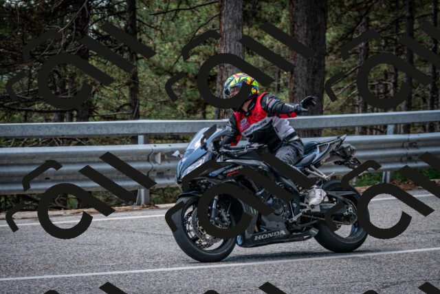 202508231242-DSC_6909_c2