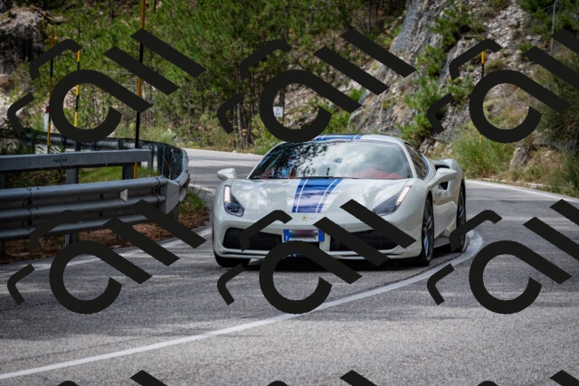 202508231242-DSC_6911_c2