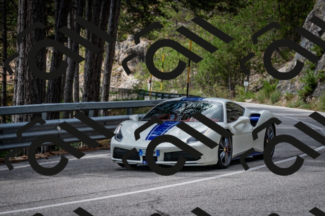 202508231242-DSC_6913_c2