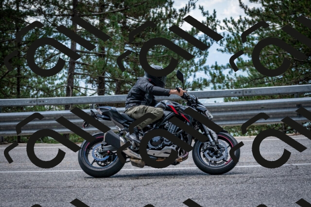 202508231242-DSC_6927_c2