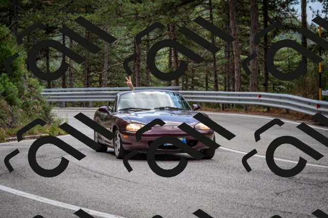 202508231244-DSC_6930_c2