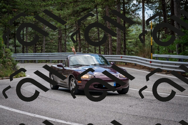 202508231244-DSC_6931_c2