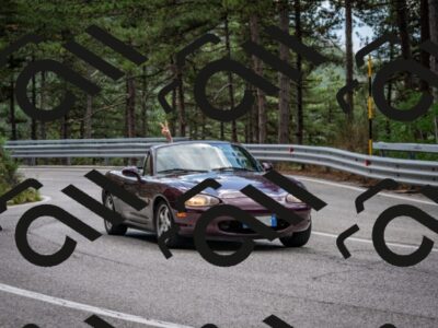 202508231244-DSC_6931_c2