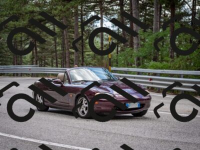 202508231244-DSC_6932_c2