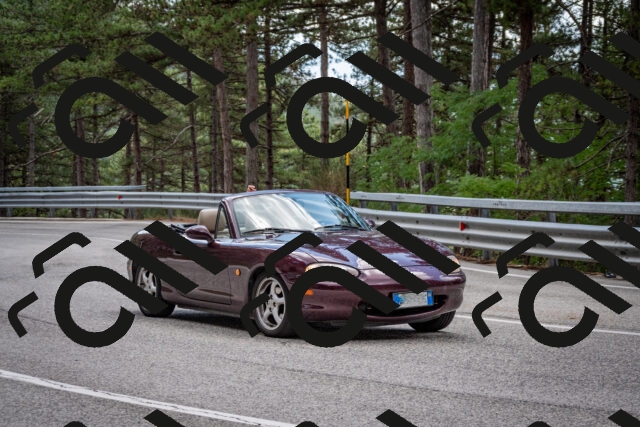 202508231244-DSC_6932_c2