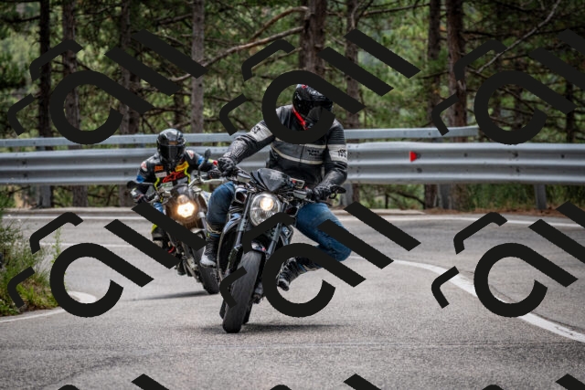 202508231245-DSC_6940_c2