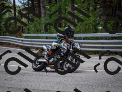 202508231245-DSC_6943_c2