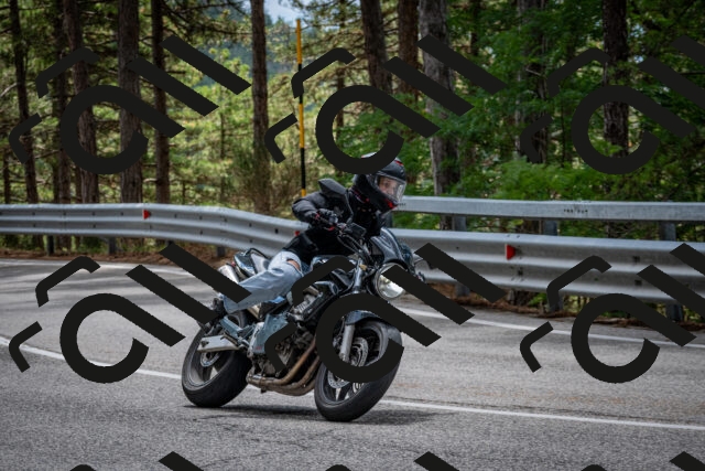 202508231247-DSC_6945_c2