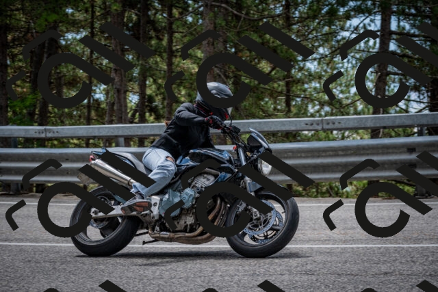 202508231247-DSC_6946_c2