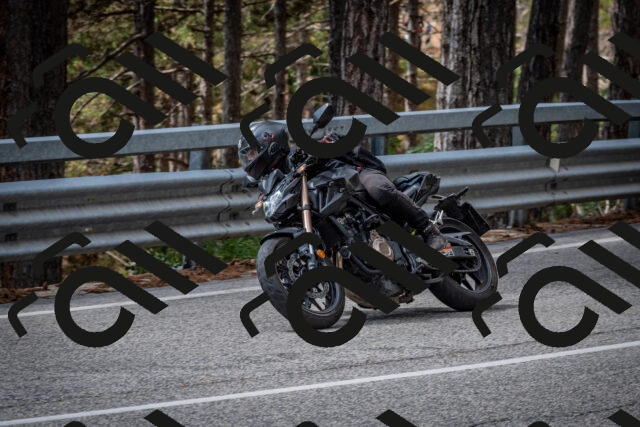 202508231247-DSC_6949_c2