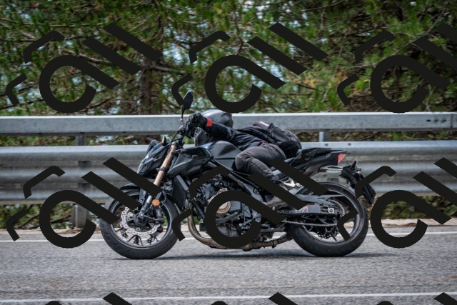 202508231247-DSC_6950_c2