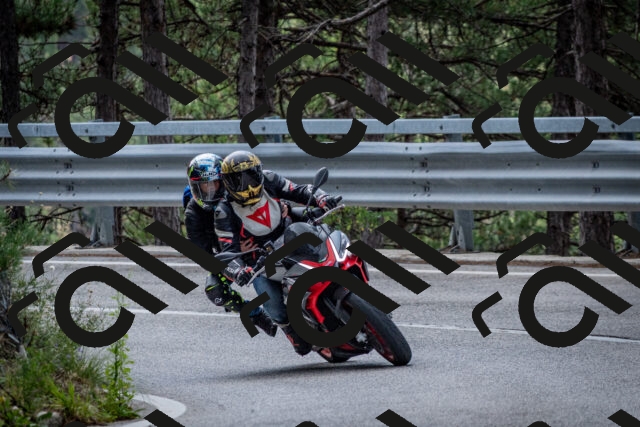 202508231250-DSC_6957_c2