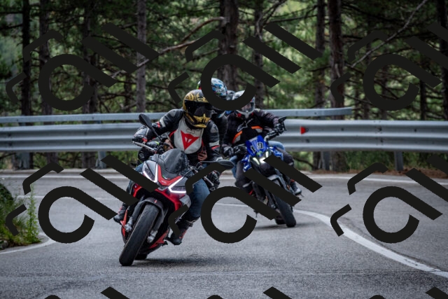 202508231250-DSC_6958_c2