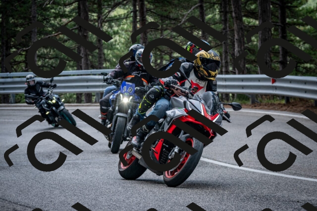 202508231250-DSC_6959_c2