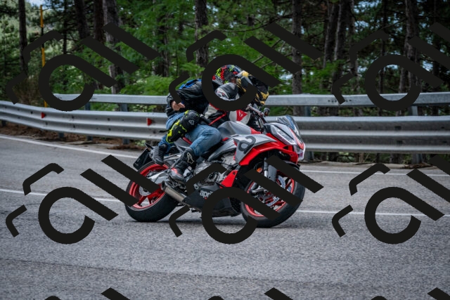 202508231250-DSC_6960_c2