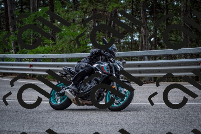 202508231250-DSC_6963_c2