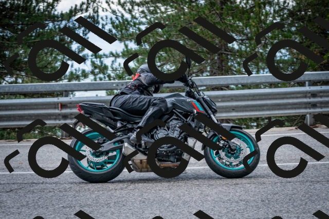 202508231250-DSC_6964_c2