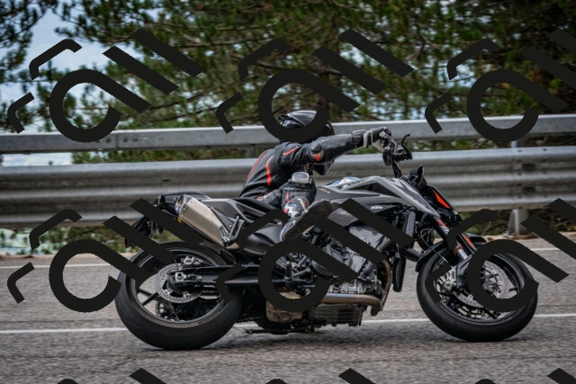 202508231250-DSC_6969_c2