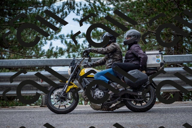 202508231250-DSC_6971_c2