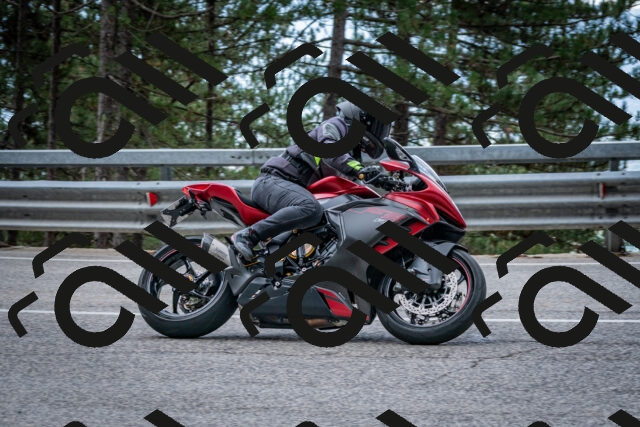 202508231250-DSC_6974_c2