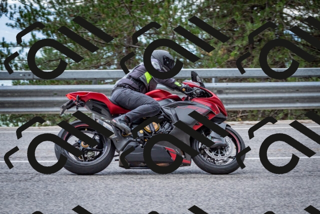 202508231250-DSC_6975_c2