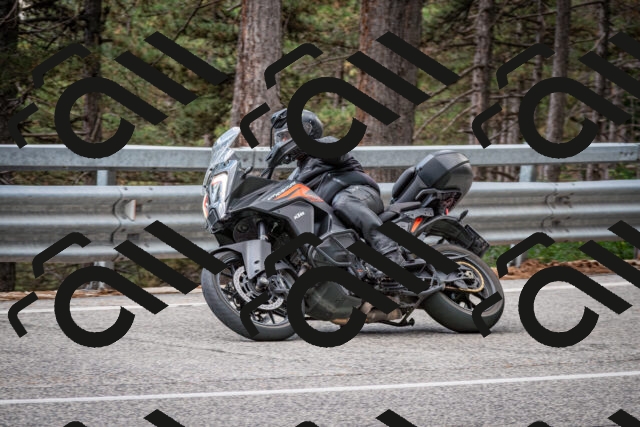 202508231251-DSC_6977_c2