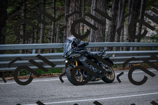 202508231252-DSC_6980_c2