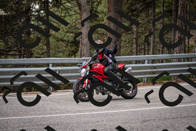 202508231252-DSC_6985_c2