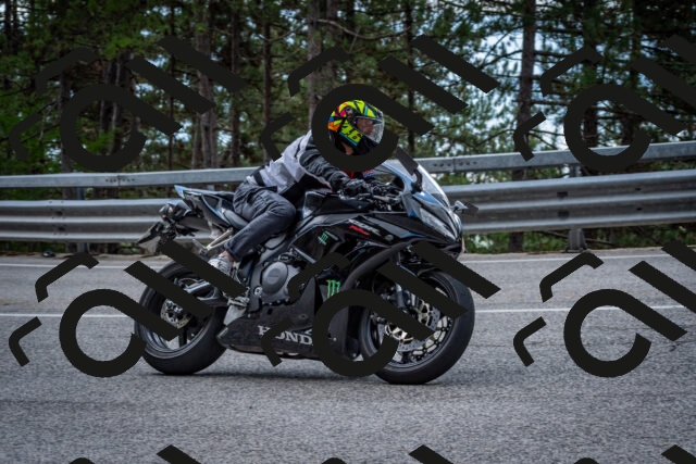 202508231252-DSC_6991_c2