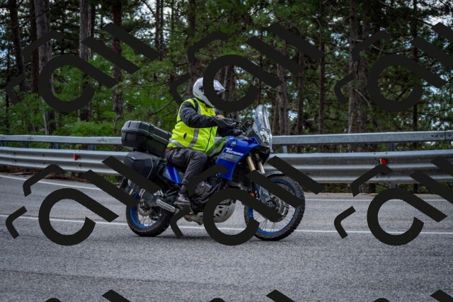 202508231254-DSC_6993_c2