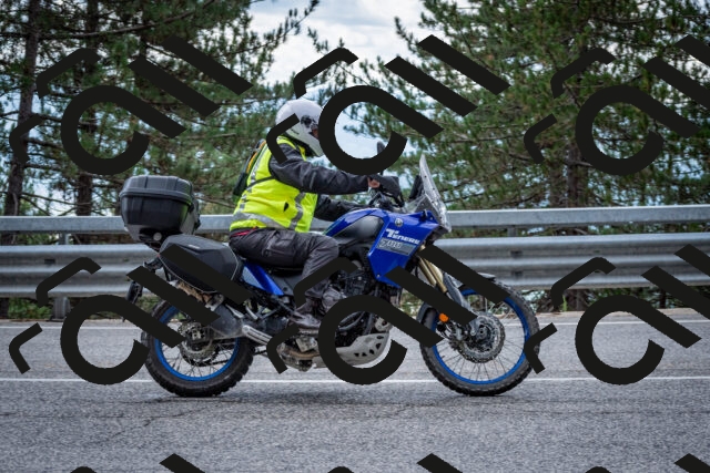 202508231254-DSC_6994_c2