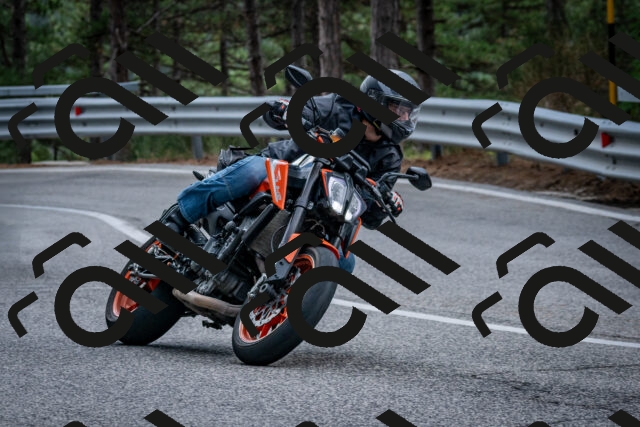 202508231256-DSC_6995_c2