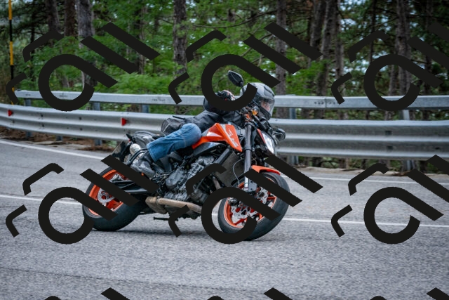 202508231256-DSC_6996_c2