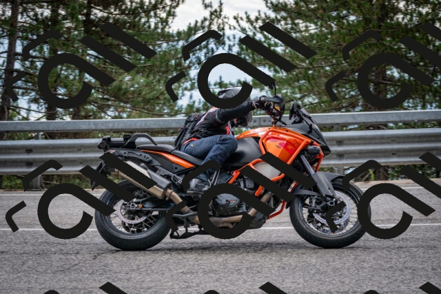 202508231256-DSC_6998_c2