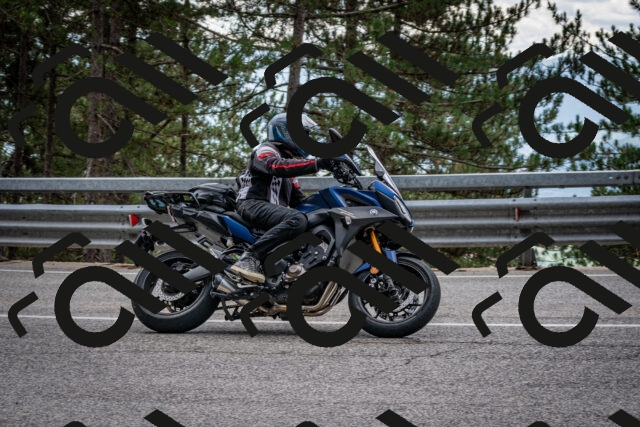 202508231256-DSC_7003_c2