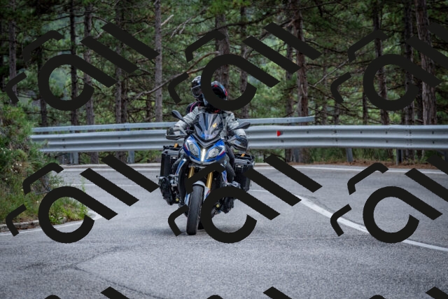 202508231256-DSC_7004_c2