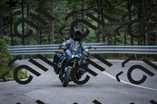 202508231256-DSC_7005_c2