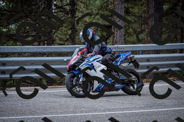 202508231258-DSC_7011_c2