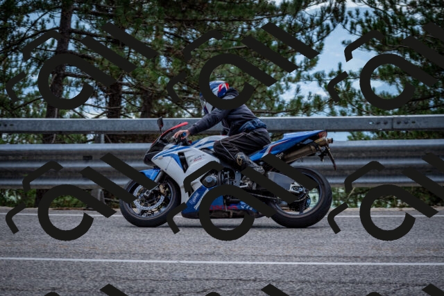 202508231258-DSC_7012_c2