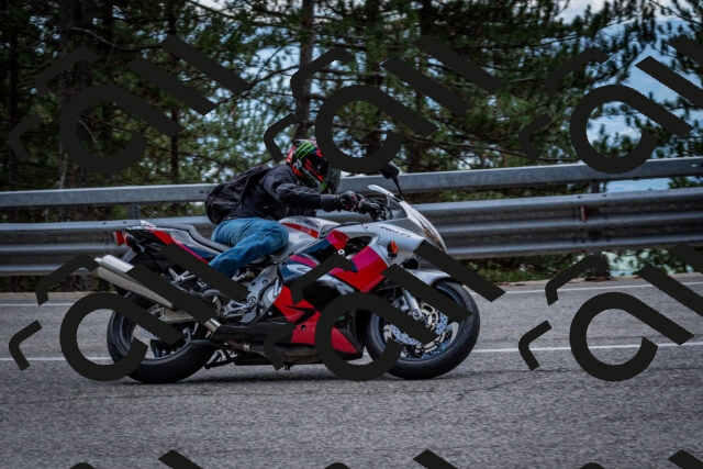 202508231258-DSC_7015_c2