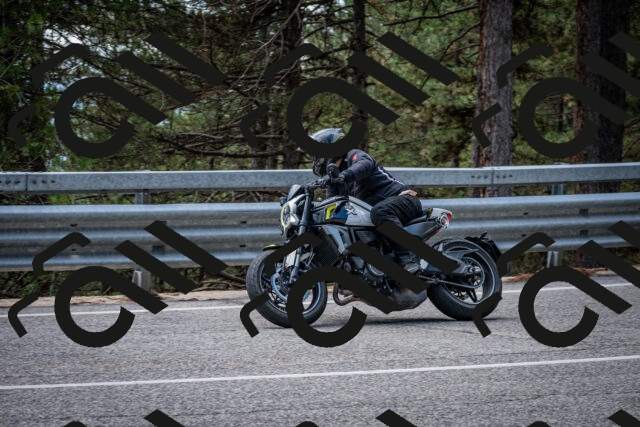 202508231300-DSC_7017_c2