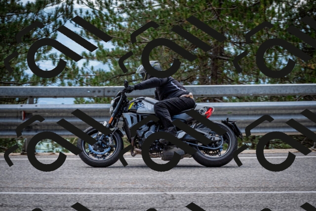 202508231300-DSC_7018_c2