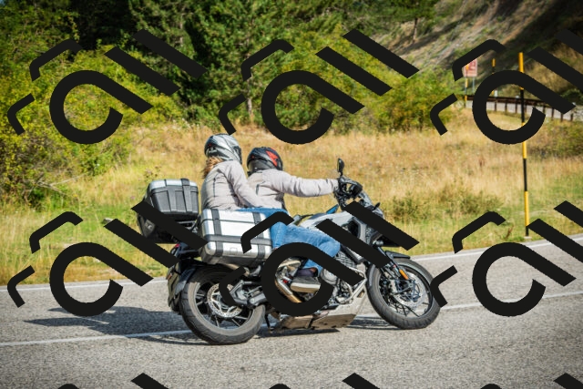 202508230954-DSC08537_c1_