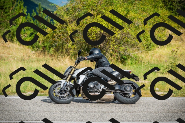 202508231005-DSC08595_c1_