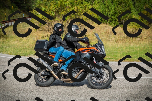 202508231018-DSC08618_c1_